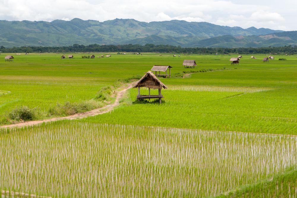 https://mdw-travel-data-us-east-1.s3.amazonaws.com/img/country/Laos/Inner-Namtha-River/img_01.jpg