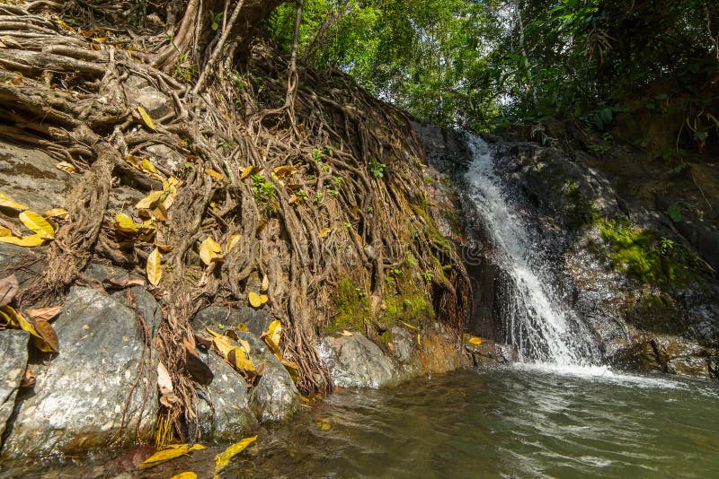 https://mdw-travel-data-us-east-1.s3.amazonaws.com/img/country/Laos/Kaeng-Nyui-Waterfalls-&-Park/img_03.jpg