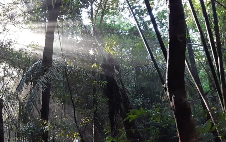https://mdw-travel-data-us-east-1.s3.amazonaws.com/img/country/Laos/Keo-Seima-Wildlife-Sanctuary/img_01.jpg