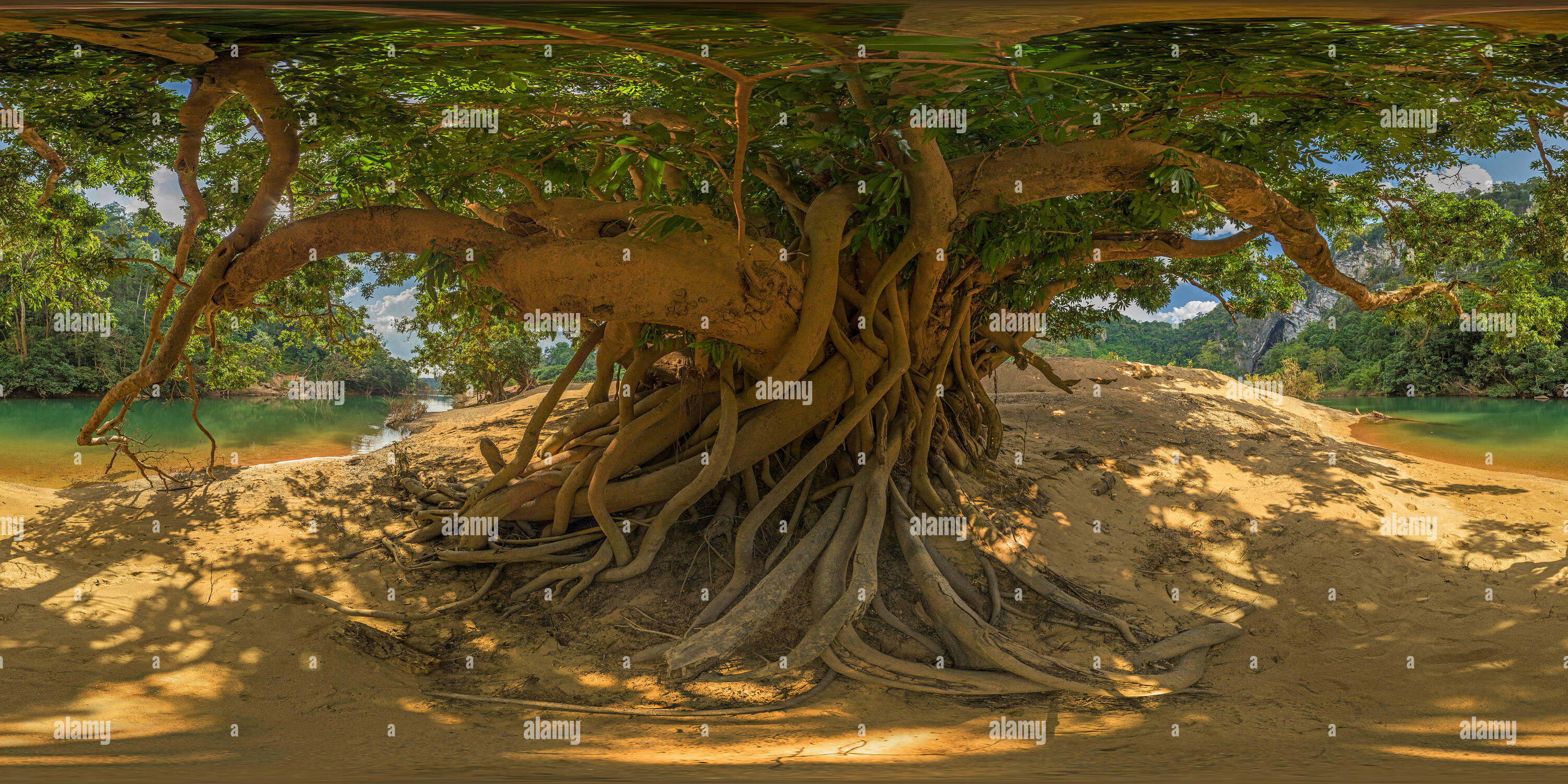 https://mdw-travel-data-us-east-1.s3.amazonaws.com/img/country/Laos/Maevang-Giant-Tree/img_01.jpg