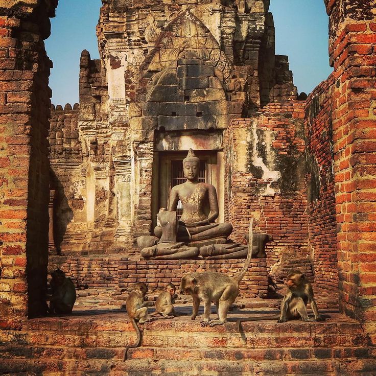 https://mdw-travel-data-us-east-1.s3.amazonaws.com/img/country/Laos/Monkey-Temple/img_00.jpg