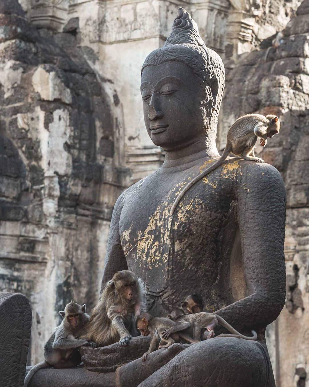 https://mdw-travel-data-us-east-1.s3.amazonaws.com/img/country/Laos/Monkey-Temple/img_03.jpg