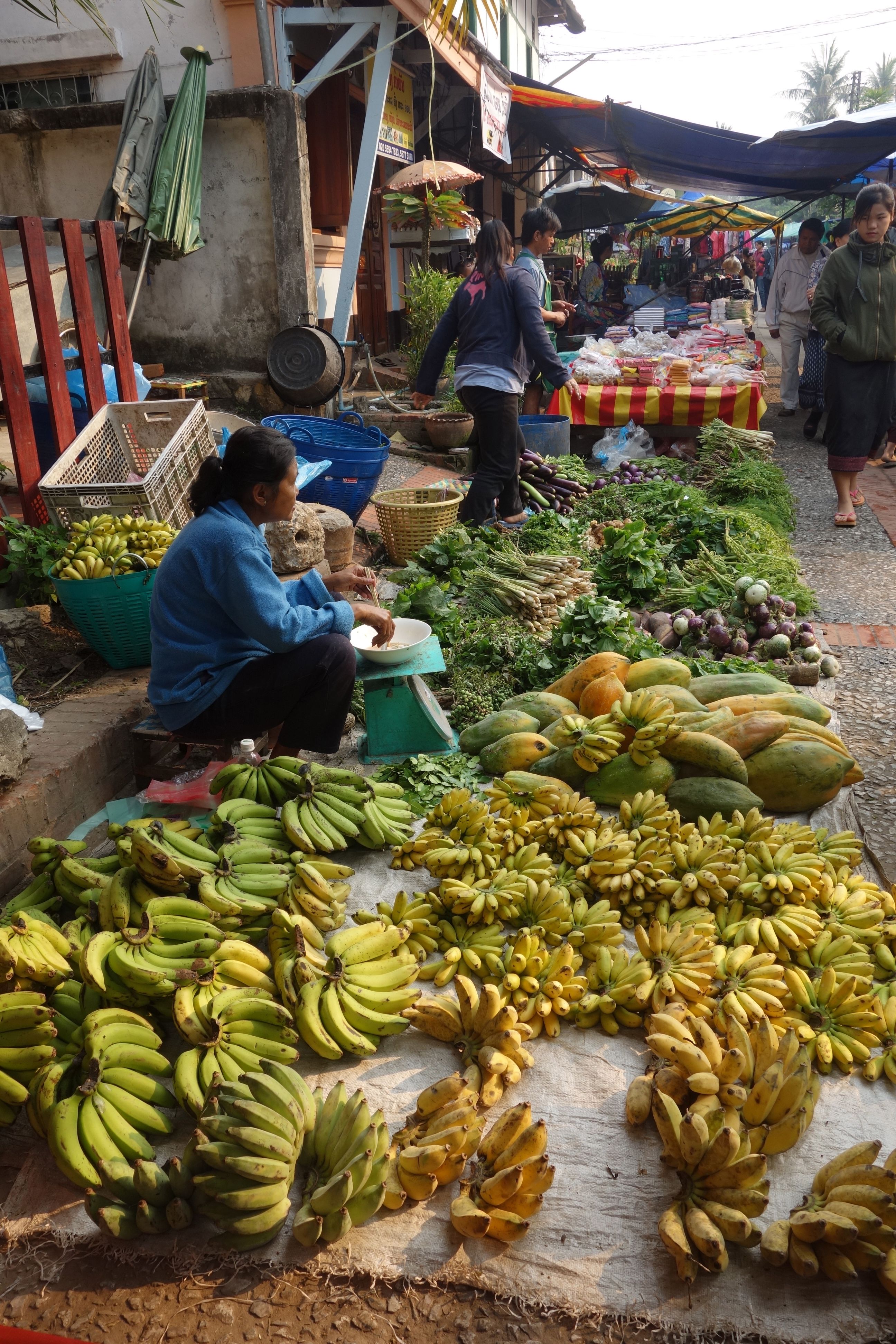 https://mdw-travel-data-us-east-1.s3.amazonaws.com/img/country/Laos/Morning-Market/img_01.jpg