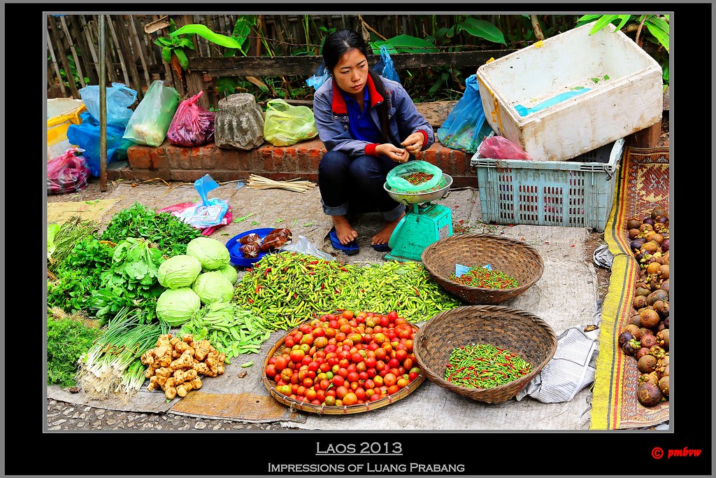 https://mdw-travel-data-us-east-1.s3.amazonaws.com/img/country/Laos/Morning-Market/img_03.jpg