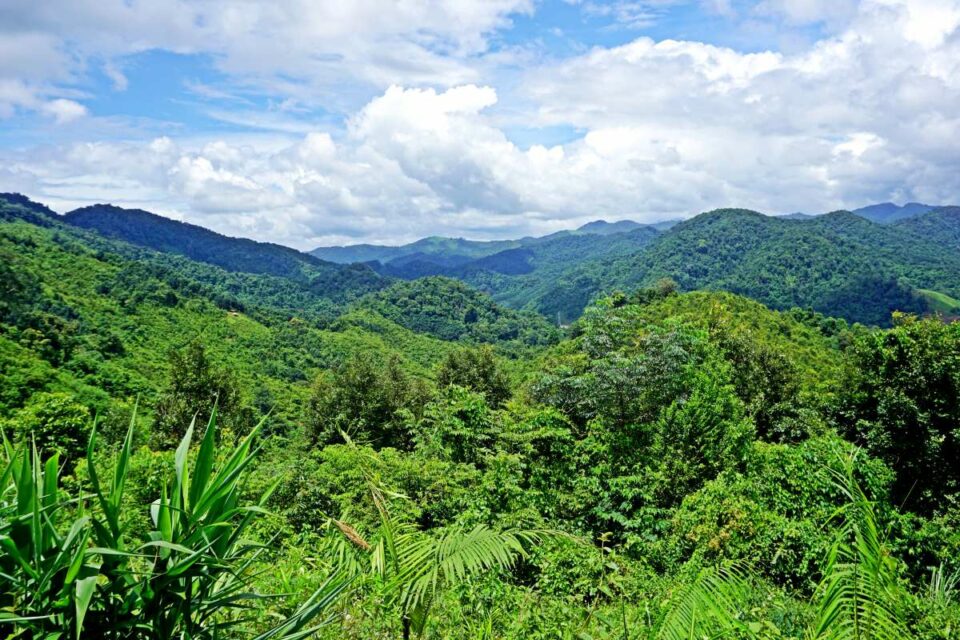 https://mdw-travel-data-us-east-1.s3.amazonaws.com/img/country/Laos/Nam-Ha-Cultural-Eco-Tours/img_03.jpg