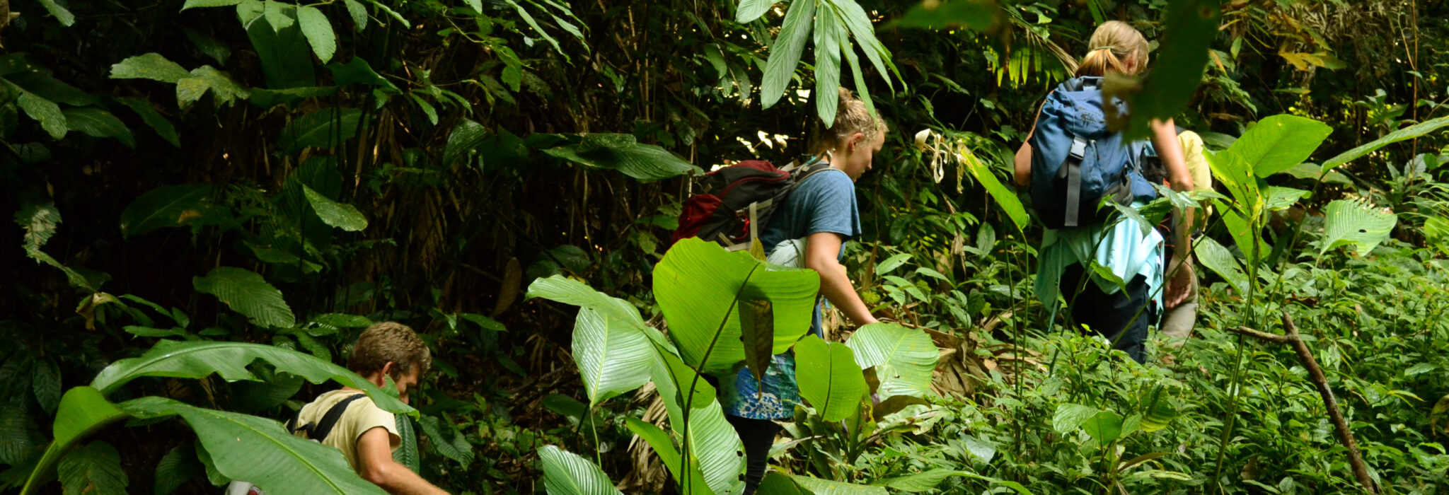 https://mdw-travel-data-us-east-1.s3.amazonaws.com/img/country/Laos/Nam-Ha-NPA---Ecotourism-Project-Manager-Office/img_03.jpg