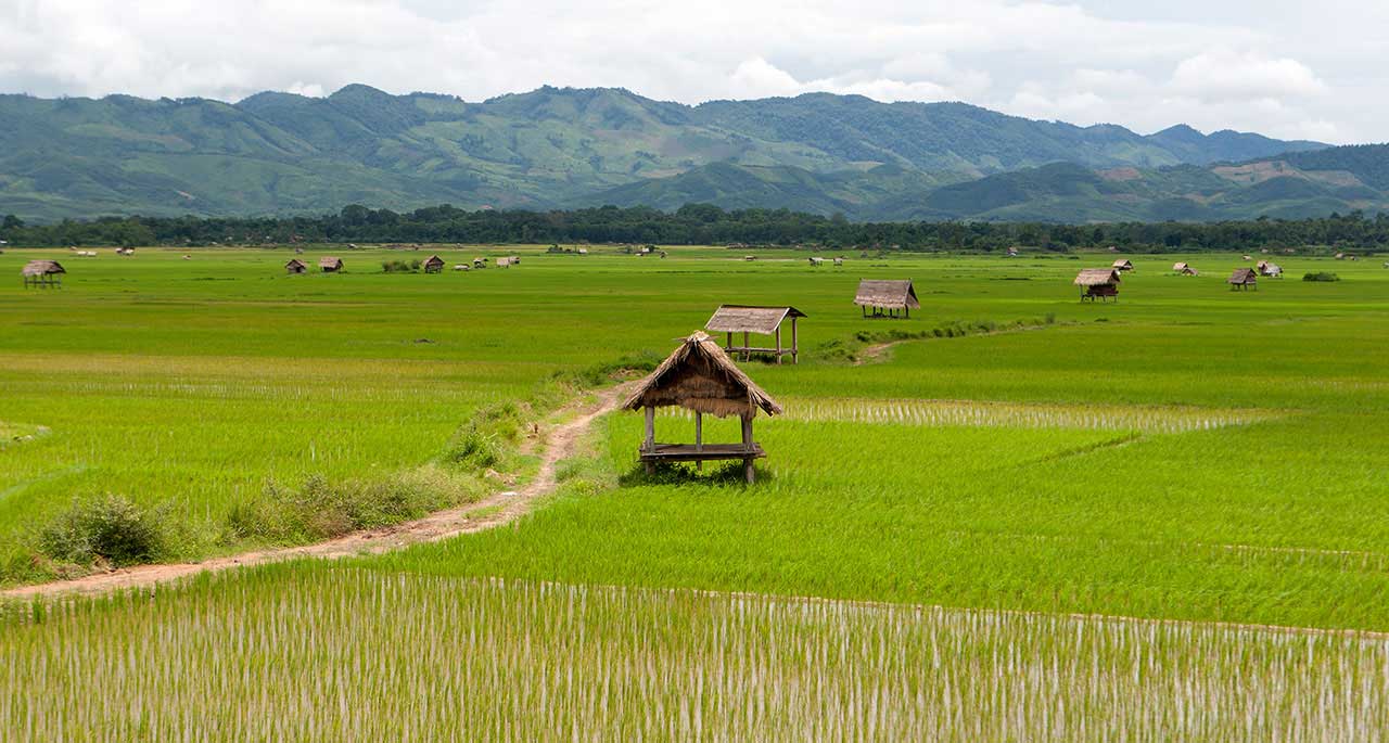 https://mdw-travel-data-us-east-1.s3.amazonaws.com/img/country/Laos/Namtha-Museum/img_01.jpg