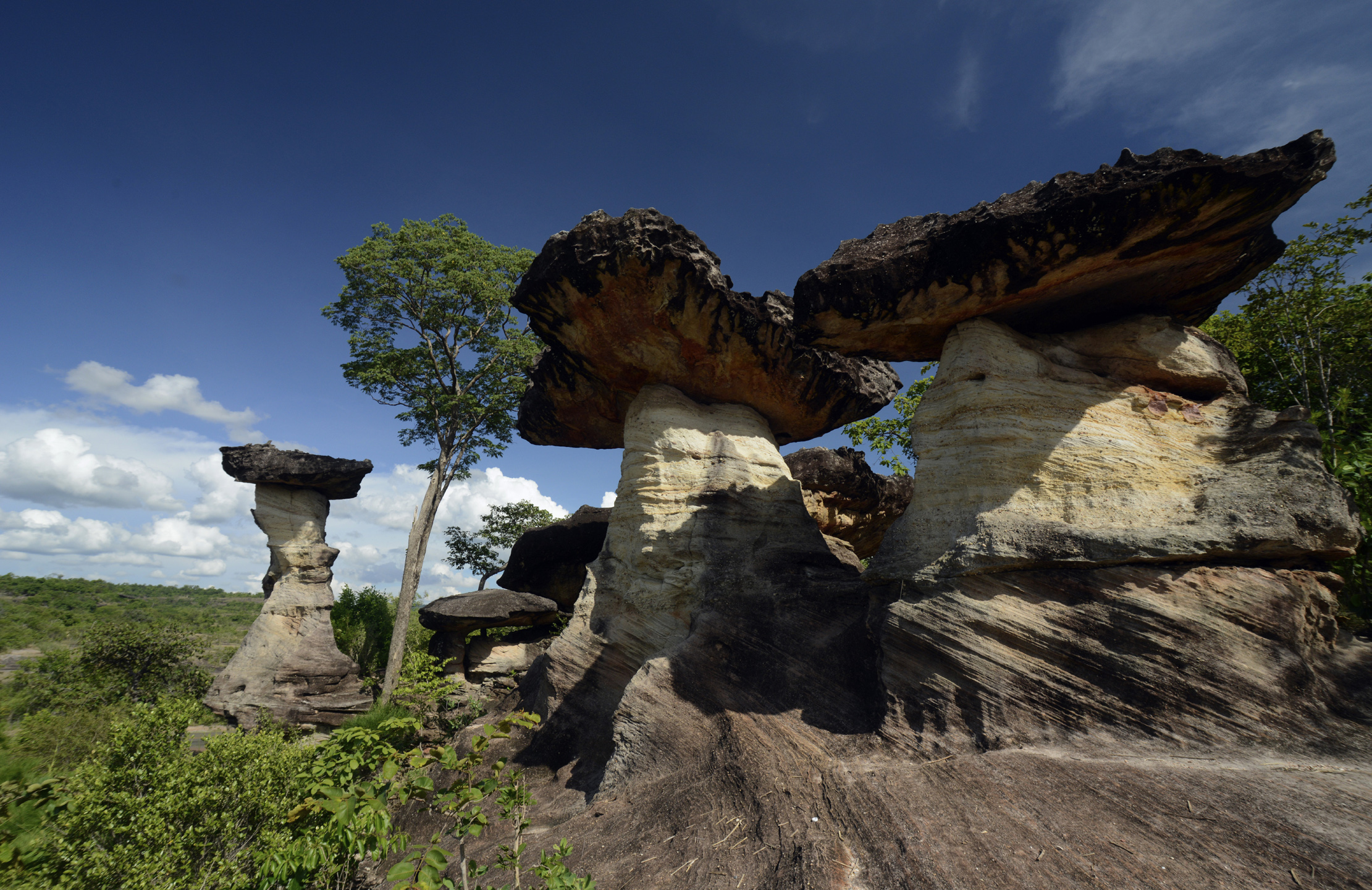 https://mdw-travel-data-us-east-1.s3.amazonaws.com/img/country/Laos/Pha-Taem-National-Park/img_03.jpg