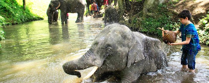 https://mdw-travel-data-us-east-1.s3.amazonaws.com/img/country/Laos/Singh-Lao-Elephant-Sanctuary/img_02.jpg