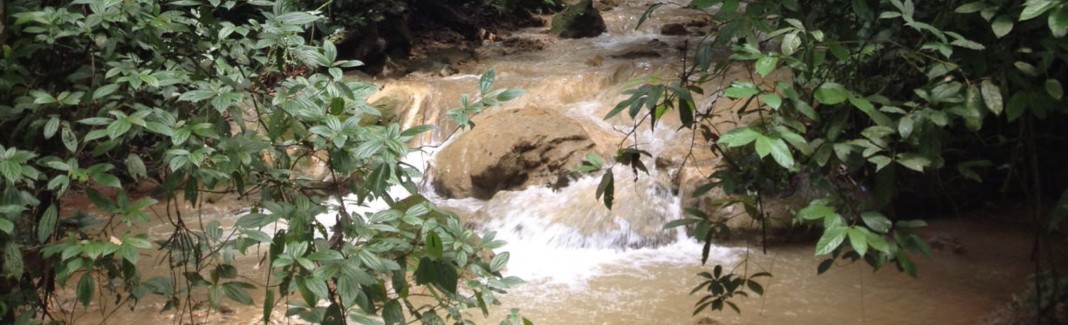 https://mdw-travel-data-us-east-1.s3.amazonaws.com/img/country/Laos/Tad-Thong-Waterfall/img_03.jpg