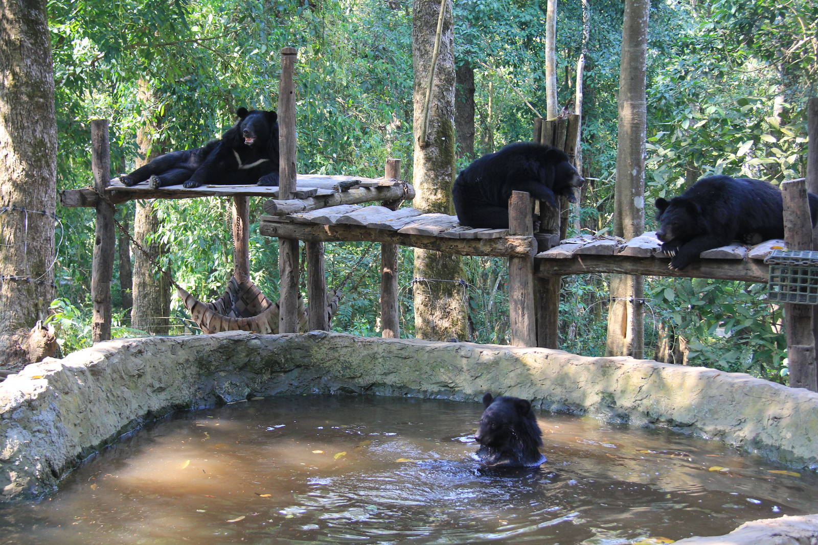 https://mdw-travel-data-us-east-1.s3.amazonaws.com/img/country/Laos/Tat-Kuang-Si-Bear-Rescue-Centre/img_01.jpg