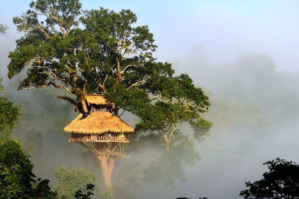 https://mdw-travel-data-us-east-1.s3.amazonaws.com/img/country/Laos/The-Gibbon-Experience/img_01.jpg