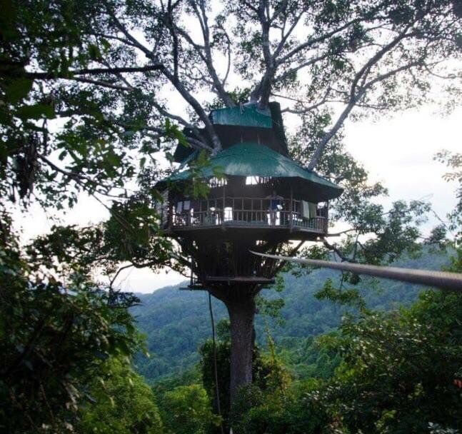 https://mdw-travel-data-us-east-1.s3.amazonaws.com/img/country/Laos/The-Gibbon-Experience/img_02.jpg