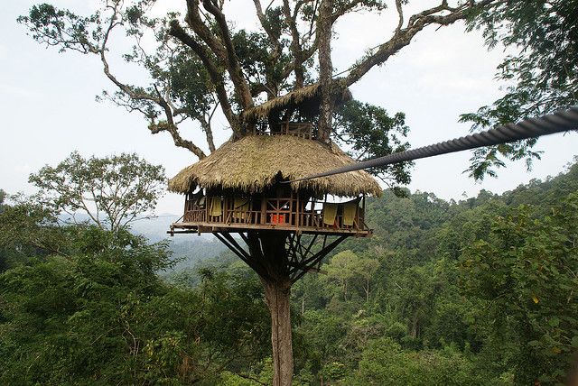 https://mdw-travel-data-us-east-1.s3.amazonaws.com/img/country/Laos/The-Gibbon-House/img_01.jpg