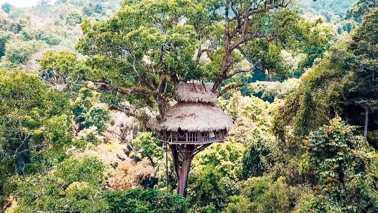 https://mdw-travel-data-us-east-1.s3.amazonaws.com/img/country/Laos/The-Gibbon-House/img_02.jpg