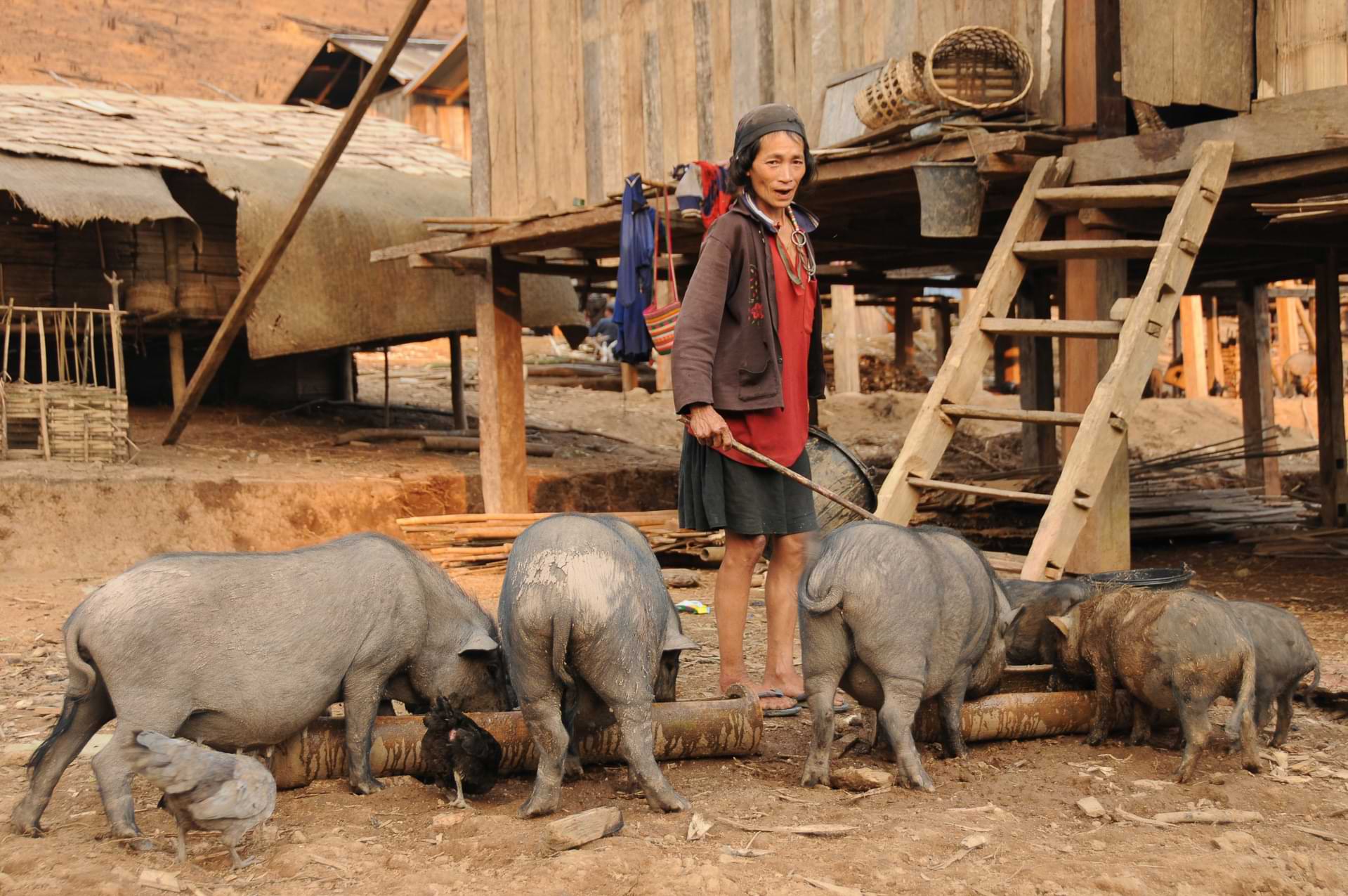 https://mdw-travel-data-us-east-1.s3.amazonaws.com/img/country/Laos/Vieng-Phouka-National-Park/img_02.jpg