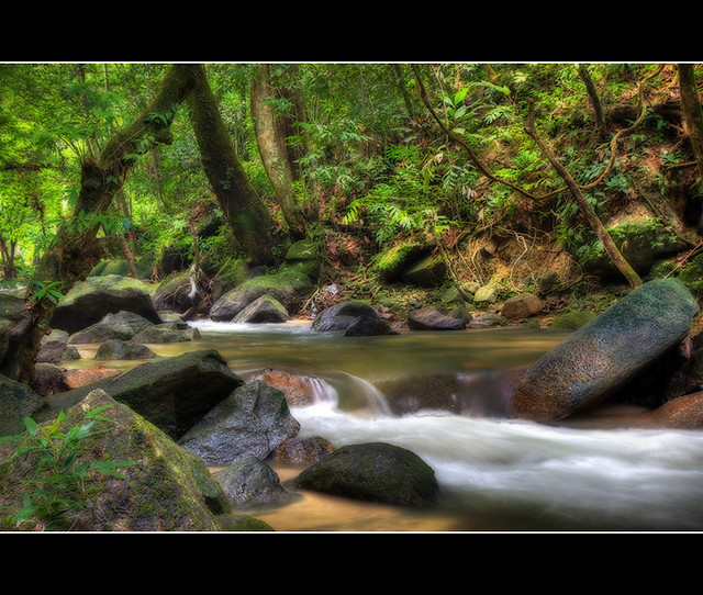 https://mdw-travel-data-us-east-1.s3.amazonaws.com/img/country/Malaysia/Ampang-Recreational-Forest/img_02.jpg