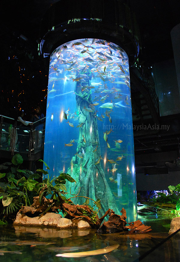 https://mdw-travel-data-us-east-1.s3.amazonaws.com/img/country/Malaysia/Aquaria-KLCC/img_01.jpg