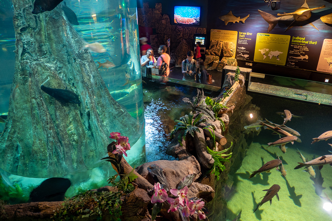 https://mdw-travel-data-us-east-1.s3.amazonaws.com/img/country/Malaysia/Aquaria-KLCC/img_03.jpg
