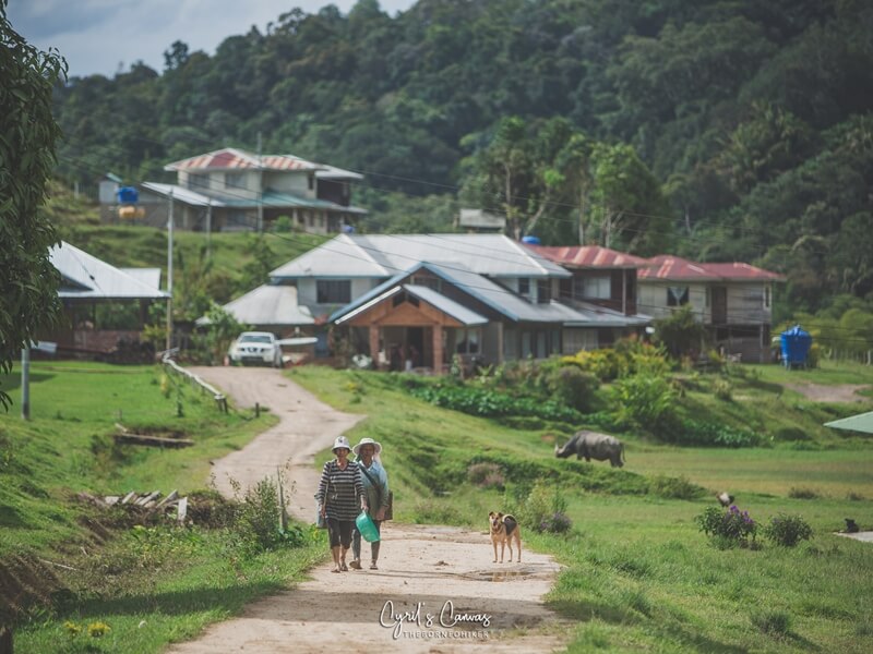 https://mdw-travel-data-us-east-1.s3.amazonaws.com/img/country/Malaysia/Bakelalan/img_01.jpg