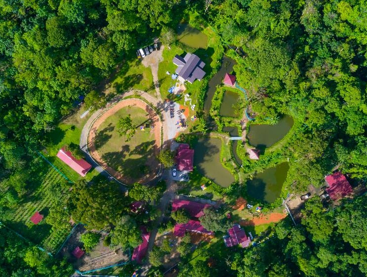 https://mdw-travel-data-us-east-1.s3.amazonaws.com/img/country/Malaysia/Batu-Kurau-Cultural-Village/img_03.jpg