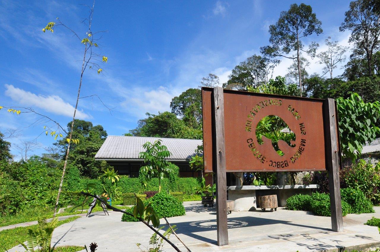 https://mdw-travel-data-us-east-1.s3.amazonaws.com/img/country/Malaysia/Bornean-Sun-Bear-Conservation-Centre/img_03.jpg