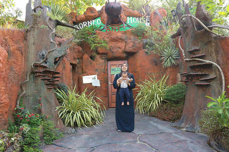https://mdw-travel-data-us-east-1.s3.amazonaws.com/img/country/Malaysia/Borneo-ant-House/img_01.jpg