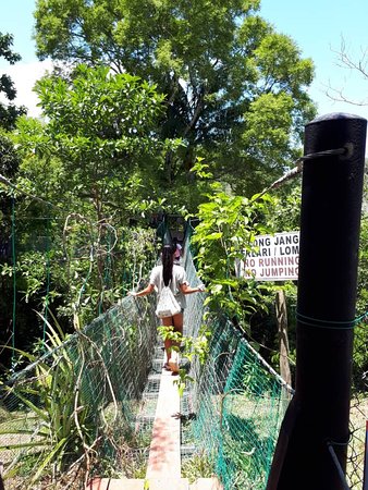 https://mdw-travel-data-us-east-1.s3.amazonaws.com/img/country/Malaysia/Borneo-ant-House/img_03.jpg