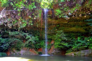 https://mdw-travel-data-us-east-1.s3.amazonaws.com/img/country/Malaysia/Bukit-Lambir-National-Park/img_02.jpg