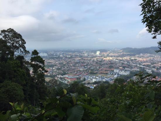 https://mdw-travel-data-us-east-1.s3.amazonaws.com/img/country/Malaysia/Bukit-Pelindung-Recreational-Forest/img_00.jpg