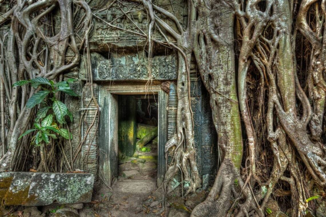 https://mdw-travel-data-us-east-1.s3.amazonaws.com/img/country/Malaysia/Cahaya-Bukit-Kemboja/img_00.jpg