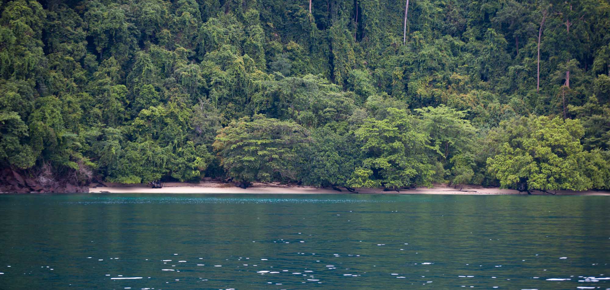https://mdw-travel-data-us-east-1.s3.amazonaws.com/img/country/Malaysia/Cenderawasih-Lake/img_00.jpg