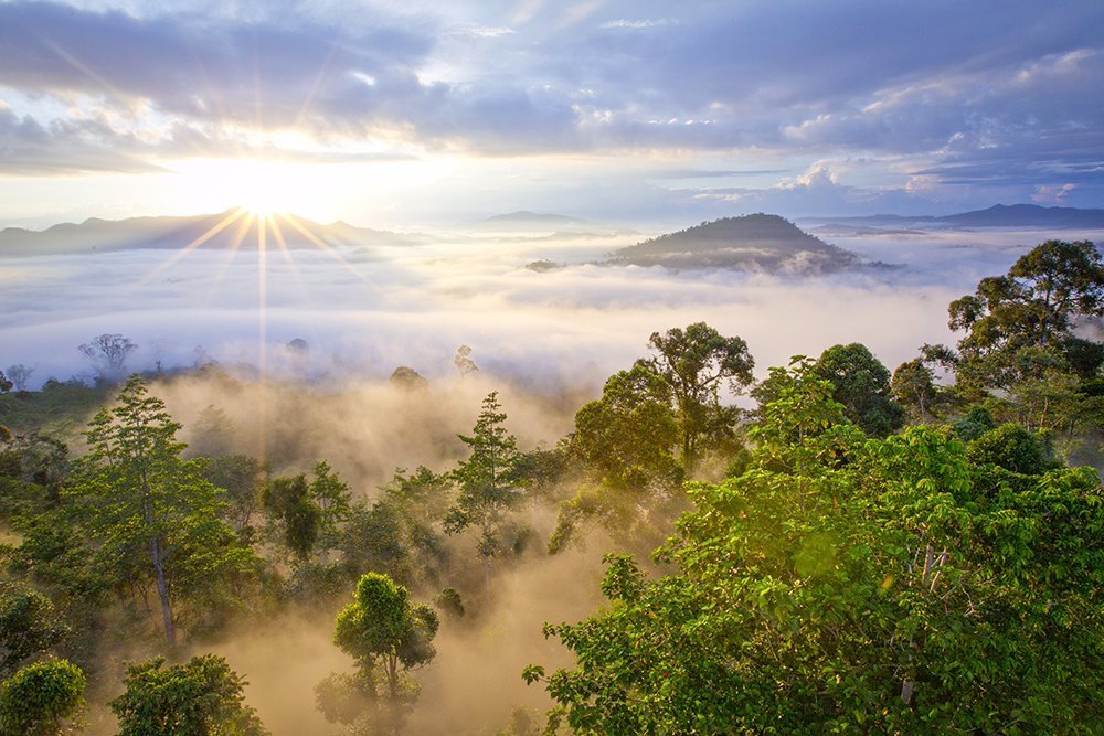 https://mdw-travel-data-us-east-1.s3.amazonaws.com/img/country/Malaysia/Danum-Valley-Conservation-Area/img_01.jpg