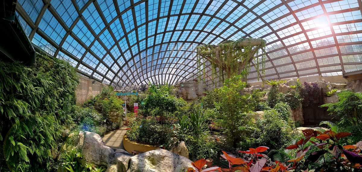 https://mdw-travel-data-us-east-1.s3.amazonaws.com/img/country/Malaysia/Entopia-by-Penang-Butterfly-Farm/img_01.jpg