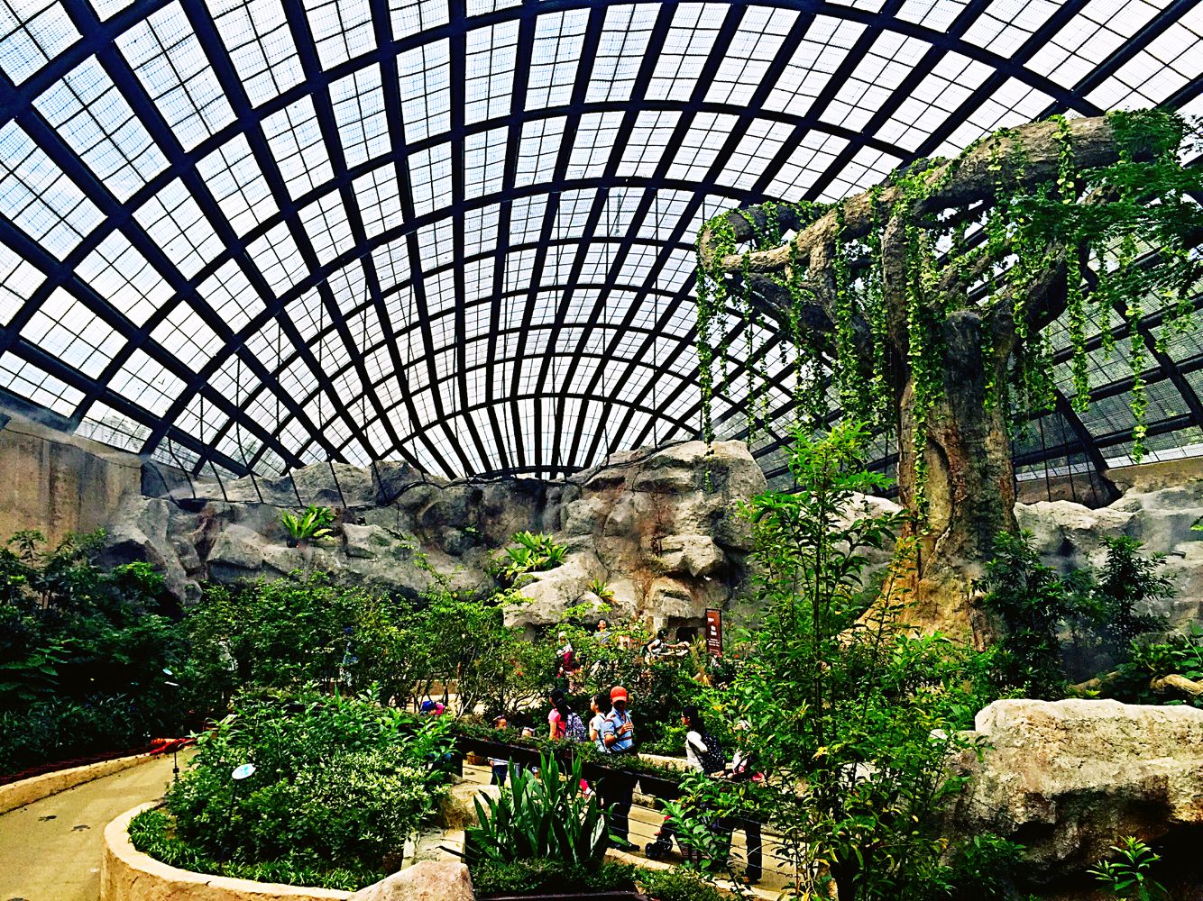 https://mdw-travel-data-us-east-1.s3.amazonaws.com/img/country/Malaysia/Entopia-by-Penang-Butterfly-Farm/img_02.jpg