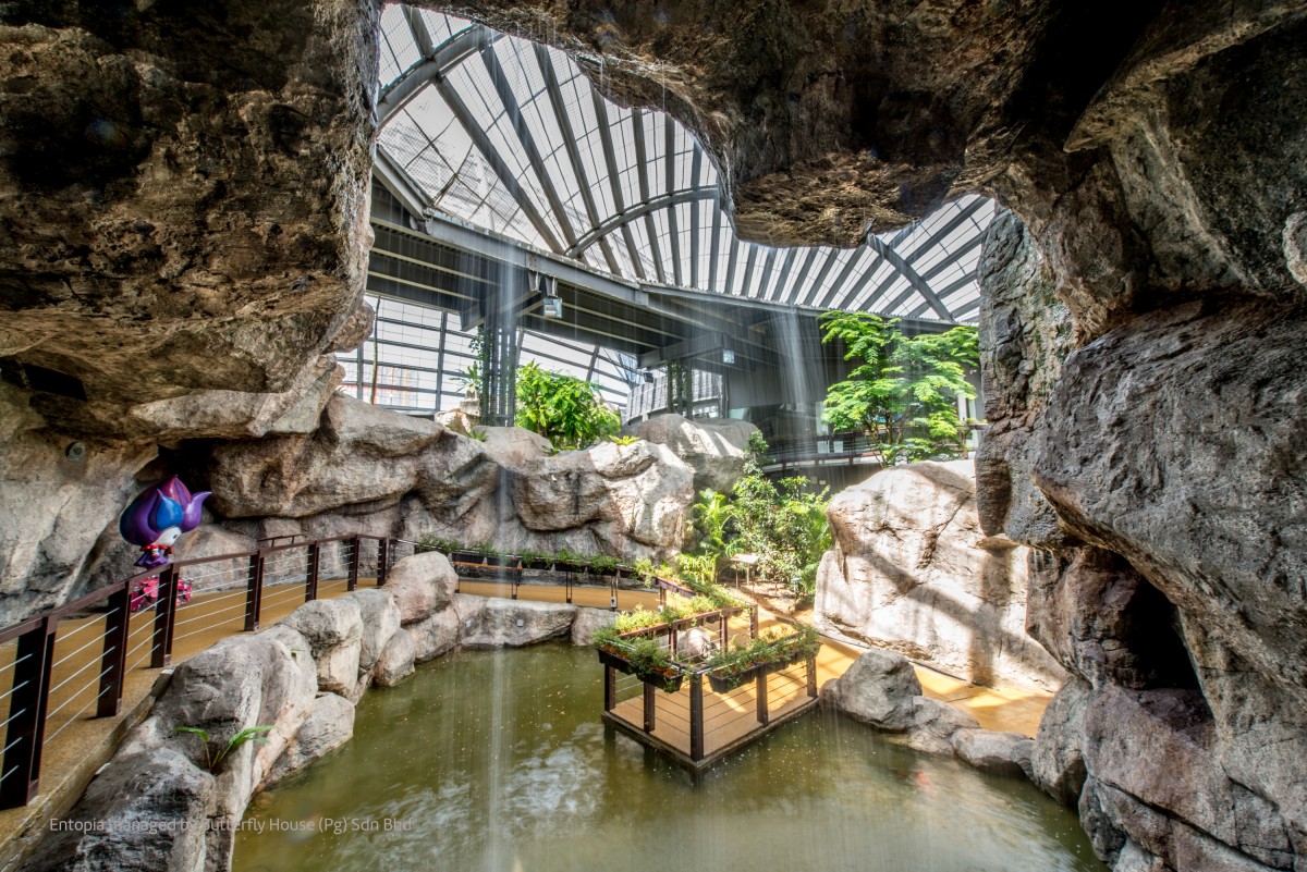 https://mdw-travel-data-us-east-1.s3.amazonaws.com/img/country/Malaysia/Entopia-by-Penang-Butterfly-Farm/img_03.jpg
