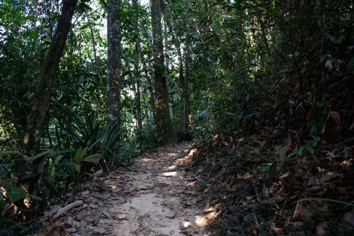 https://mdw-travel-data-us-east-1.s3.amazonaws.com/img/country/Malaysia/Gasing-Hill/img_02.jpg