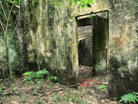 https://mdw-travel-data-us-east-1.s3.amazonaws.com/img/country/Malaysia/Gasing-Hill/img_03.jpg