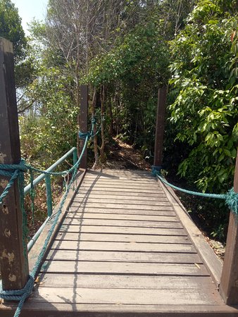 https://mdw-travel-data-us-east-1.s3.amazonaws.com/img/country/Malaysia/Gunung-Arong-Recreational-Forest/img_02.jpg