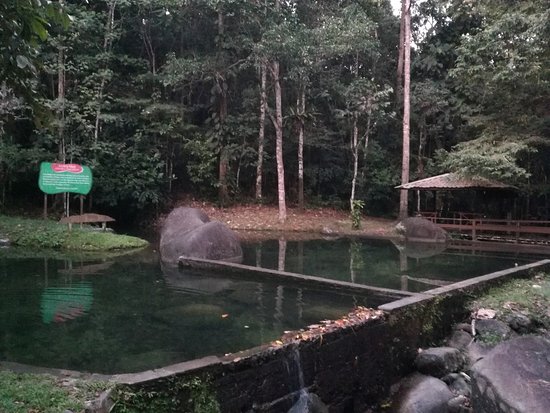 https://mdw-travel-data-us-east-1.s3.amazonaws.com/img/country/Malaysia/Gunung-Gading-National-Park/img_03.jpg