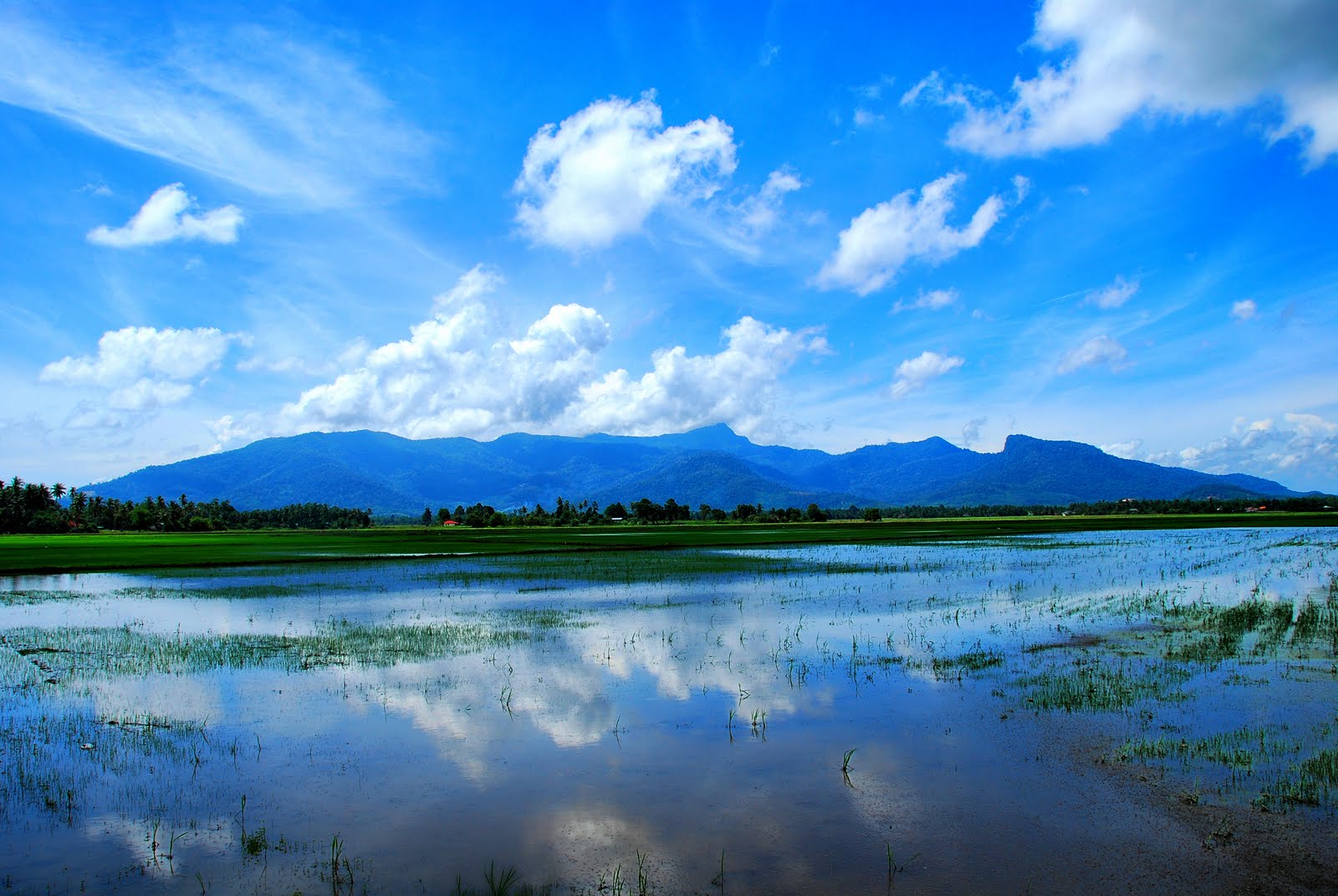 https://mdw-travel-data-us-east-1.s3.amazonaws.com/img/country/Malaysia/Gunung-Jerai/img_01.jpg