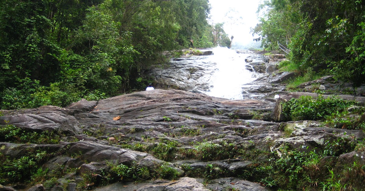 https://mdw-travel-data-us-east-1.s3.amazonaws.com/img/country/Malaysia/Gunung-Ledang-National-Park/img_01.jpg