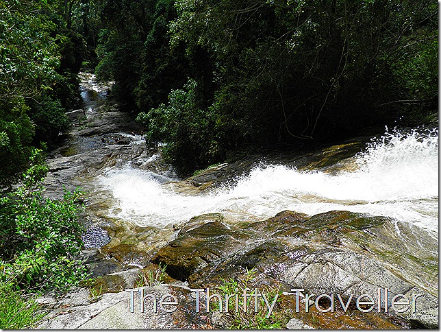 https://mdw-travel-data-us-east-1.s3.amazonaws.com/img/country/Malaysia/Gunung-Ledang-National-Park/img_03.jpg