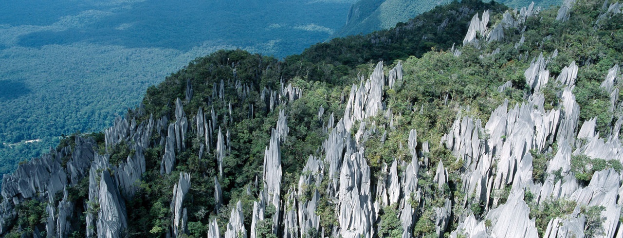 https://mdw-travel-data-us-east-1.s3.amazonaws.com/img/country/Malaysia/Gunung-Mulu-National-Park/img_00.jpg