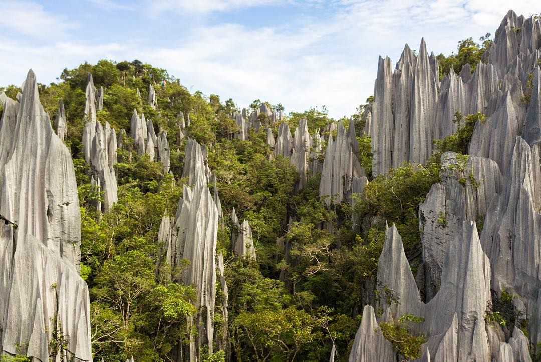 https://mdw-travel-data-us-east-1.s3.amazonaws.com/img/country/Malaysia/Gunung-Mulu-National-Park/img_05.jpg