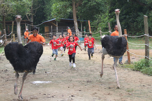 https://mdw-travel-data-us-east-1.s3.amazonaws.com/img/country/Malaysia/Jelita-Ostrich-Show-Farm/img_02.jpg