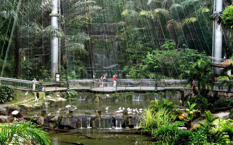 https://mdw-travel-data-us-east-1.s3.amazonaws.com/img/country/Malaysia/KL-Bird-Park/img_02.jpg