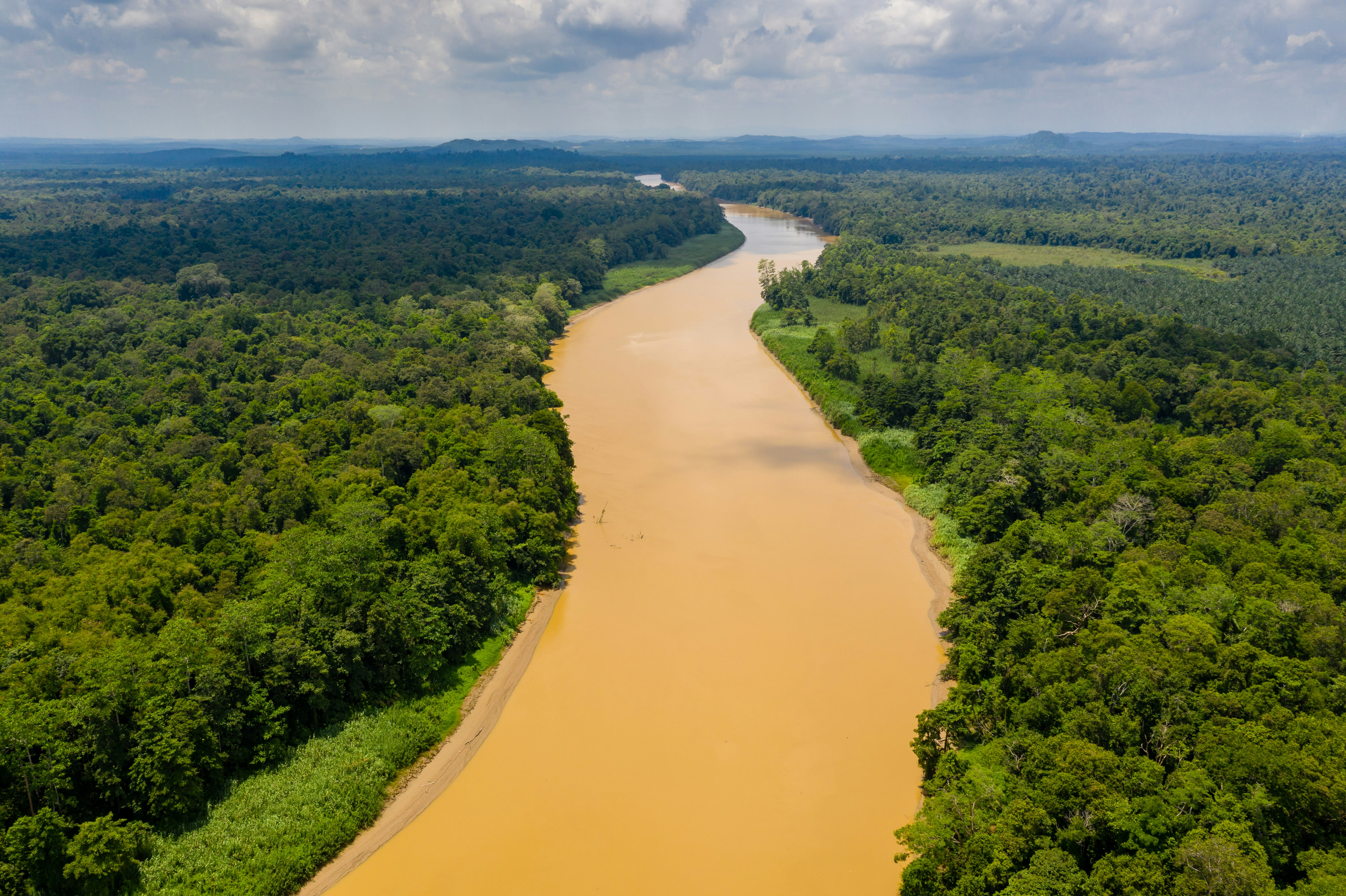 https://mdw-travel-data-us-east-1.s3.amazonaws.com/img/country/Malaysia/Kinabatangan-River/img_01.jpg