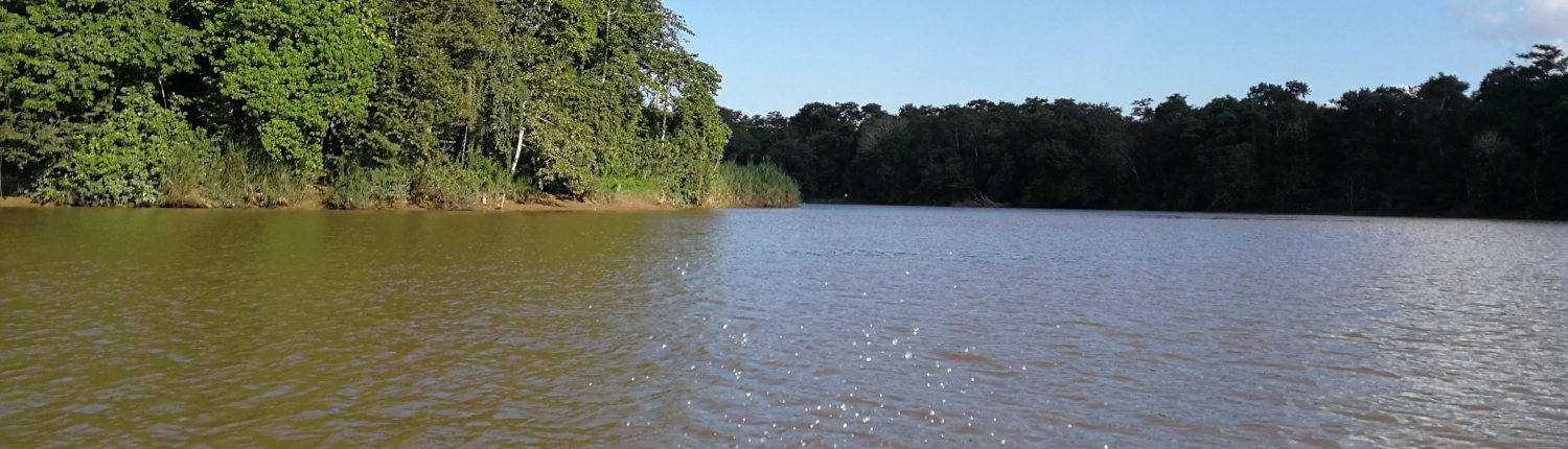 https://mdw-travel-data-us-east-1.s3.amazonaws.com/img/country/Malaysia/Kinabatangan-River/img_03.jpg