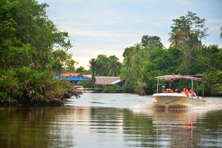 https://mdw-travel-data-us-east-1.s3.amazonaws.com/img/country/Malaysia/Kota-Kinabalu-Wetland-Centre/img_03.jpg